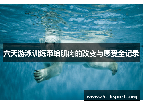 六天游泳训练带给肌肉的改变与感受全记录