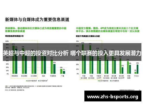 英超与中超的投资对比分析 哪个联赛的投入更具发展潜力